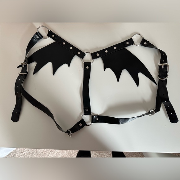 Bat Wings - Picture 4 of 4